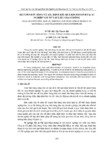KẾ TOÁN BÁN HÀNG VÀ XÁC ĐỊNH KẾT QUẢ KINH DOANH TẠI XÍ .pdf.jpg