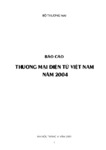 Báo Cáo Thương Mại Điện Tử Việt Nam 2004.pdf.jpg