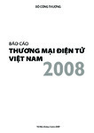Báo Cáo Thương Mại Điện Tử Việt Nam 2008.pdf.jpg