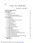 Công Tác Thi Công Nền Móng.pdf.jpg