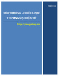 Môi Trường & Chiến Lược Thương Mại Điện Tử Megabuy.pdf.jpg