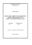 Hoàn thiện chiến lược Marketing cho sản phẩm xi măng của công ty cổ phần Sông Đà YaLy.pdf.jpg